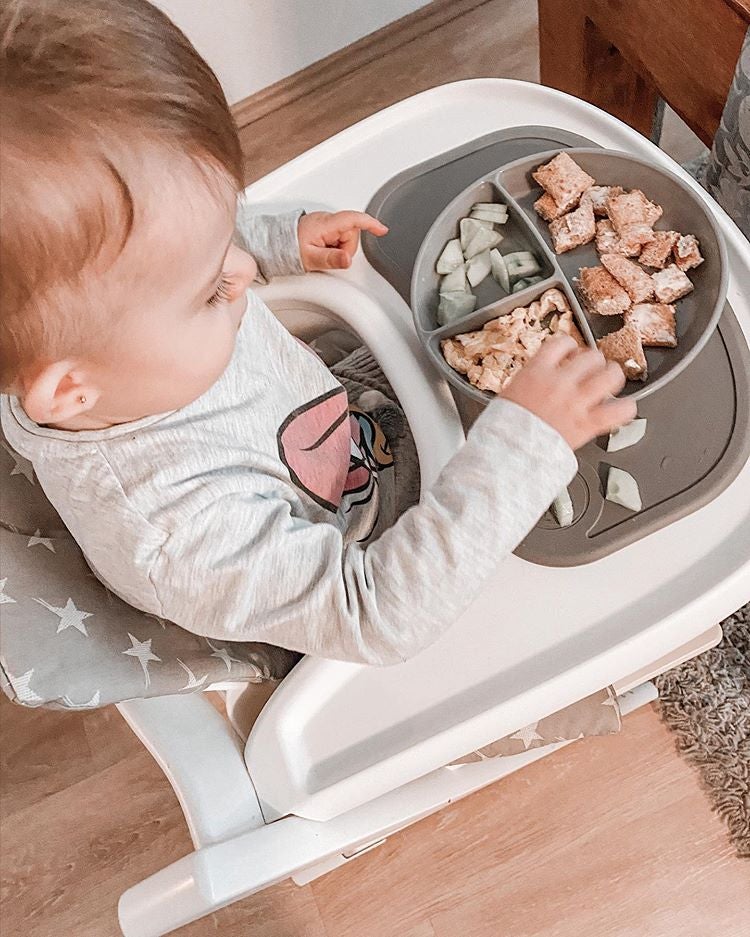 Divided Plate 6M+-innovative baby products 100% made in sweden
